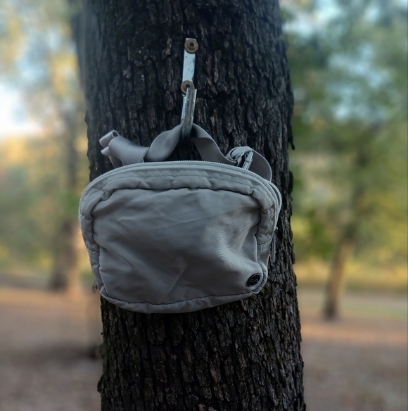 GAIAM Handbags - Giaim Waist Bag